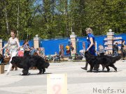 Превью фото № 206810