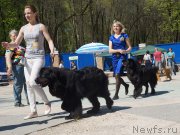 Превью фото № 206811