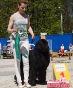 Превью фото № 206812