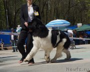 Превью фото № 206814