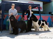 Превью фото № 206816