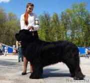 Превью фото № 206820