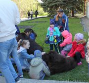 Превью фото № 206828