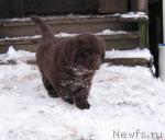 Превью фото № 20683