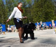 Превью фото № 206851