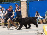 Превью фото № 206854