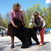 Превью фото № 206856