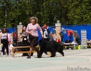 Превью фото № 206858