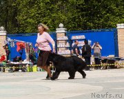 Превью фото № 206859