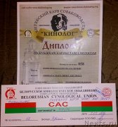 Превью фото № 206909