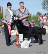 Превью фото № 206924