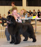 Превью фото № 206938