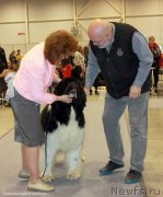 Превью фото № 206971