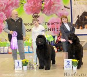 Превью фото № 206972