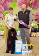 Превью фото № 206973