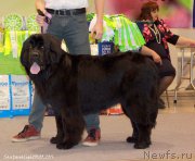 Превью фото № 206975