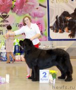 Превью фото № 206977