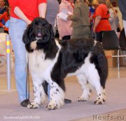 Превью фото № 207026