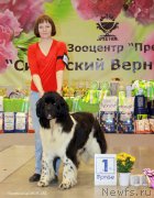 Превью фото № 207028