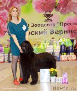 Превью фото № 207030