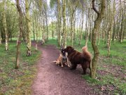 Превью фото № 207127