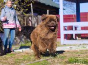 Превью фото № 207200