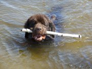 Превью фото № 207315