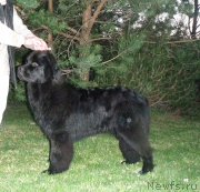 Превью фото № 207349