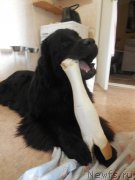 Превью фото № 207529