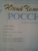 Превью фото № 207537