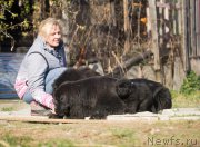 Превью фото № 207555