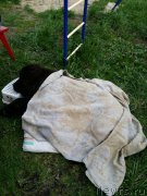 Превью фото № 207559