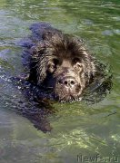 Превью фото № 207574