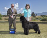 Превью фото № 207621