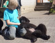 Превью фото № 207641