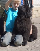 Превью фото № 207644