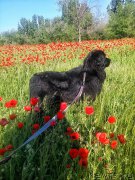 Превью фото № 207663