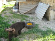 Превью фото № 207699