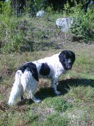 Превью фото № 207721