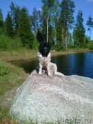 Превью фото № 207727