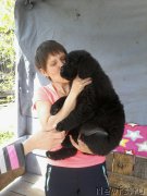 Превью фото № 207758