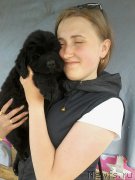 Превью фото № 207759