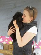 Превью фото № 207760