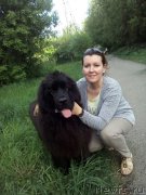 Превью фото № 207787