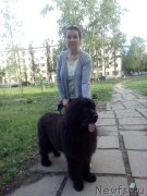 Превью фото № 207788