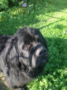 Превью фото № 207791