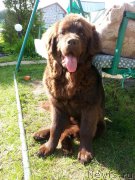 Превью фото № 207808