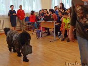 Превью фото № 207814