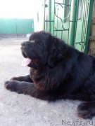 Превью фото № 207824