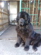 Превью фото № 207826